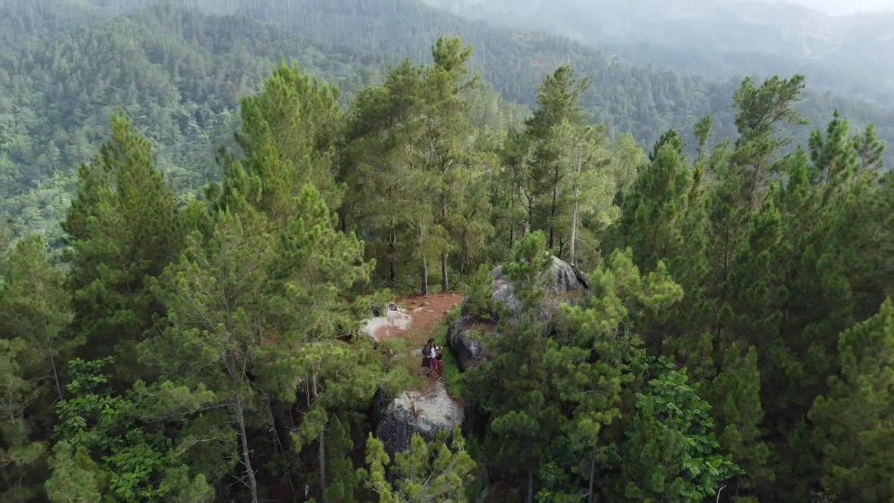 Sendero Montaña Plana