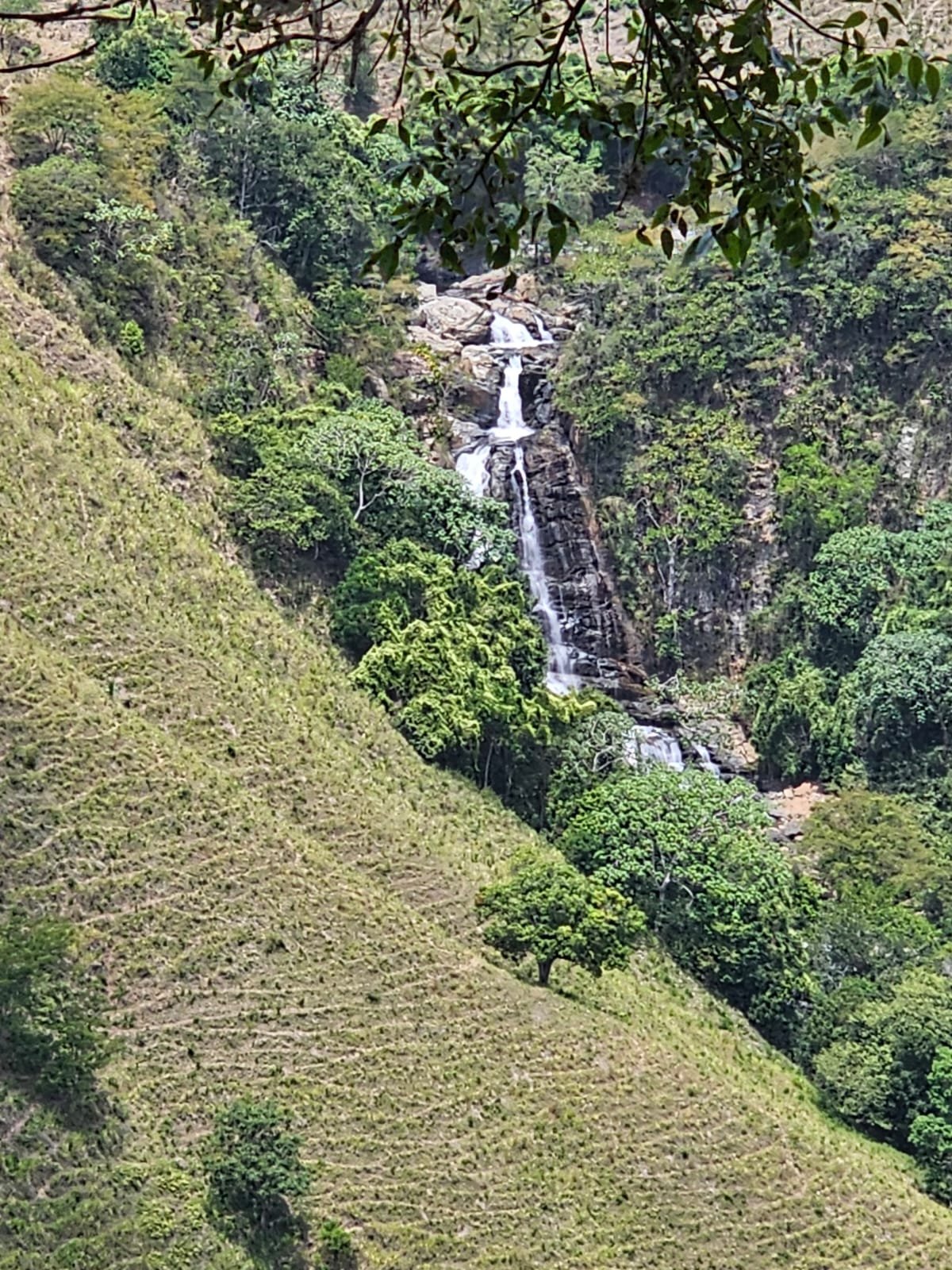 🌳 Sendero Salto El Gallo 🌳
