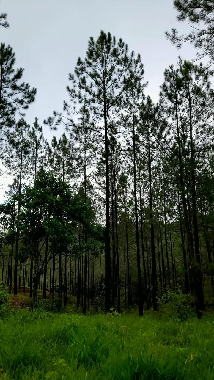 WhatsApp Image 2026-08-04 at 8.30.49 AM (1)